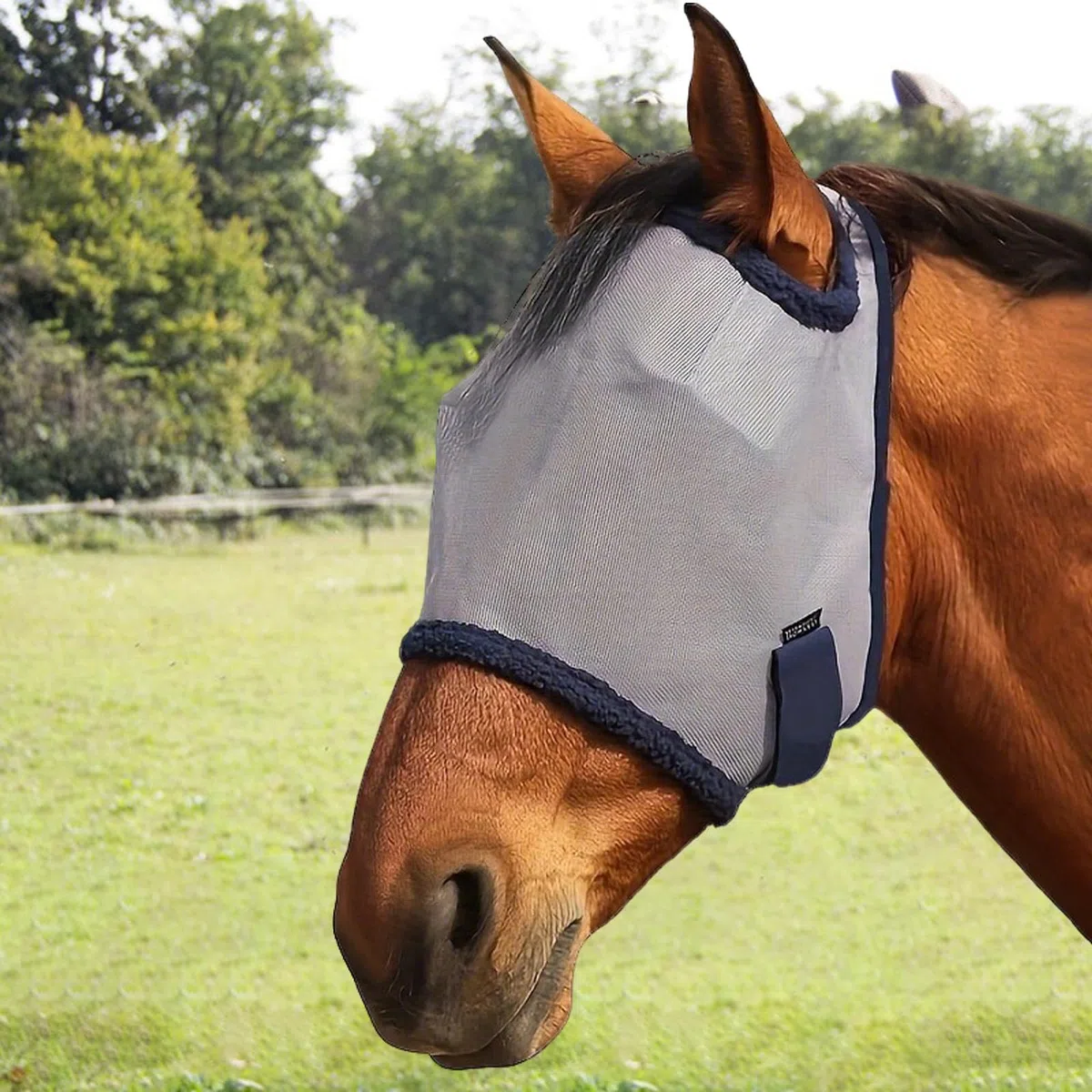 Máscara Antimoscas para Caballos, Protección Solar Facial, Malla PVC, Gris