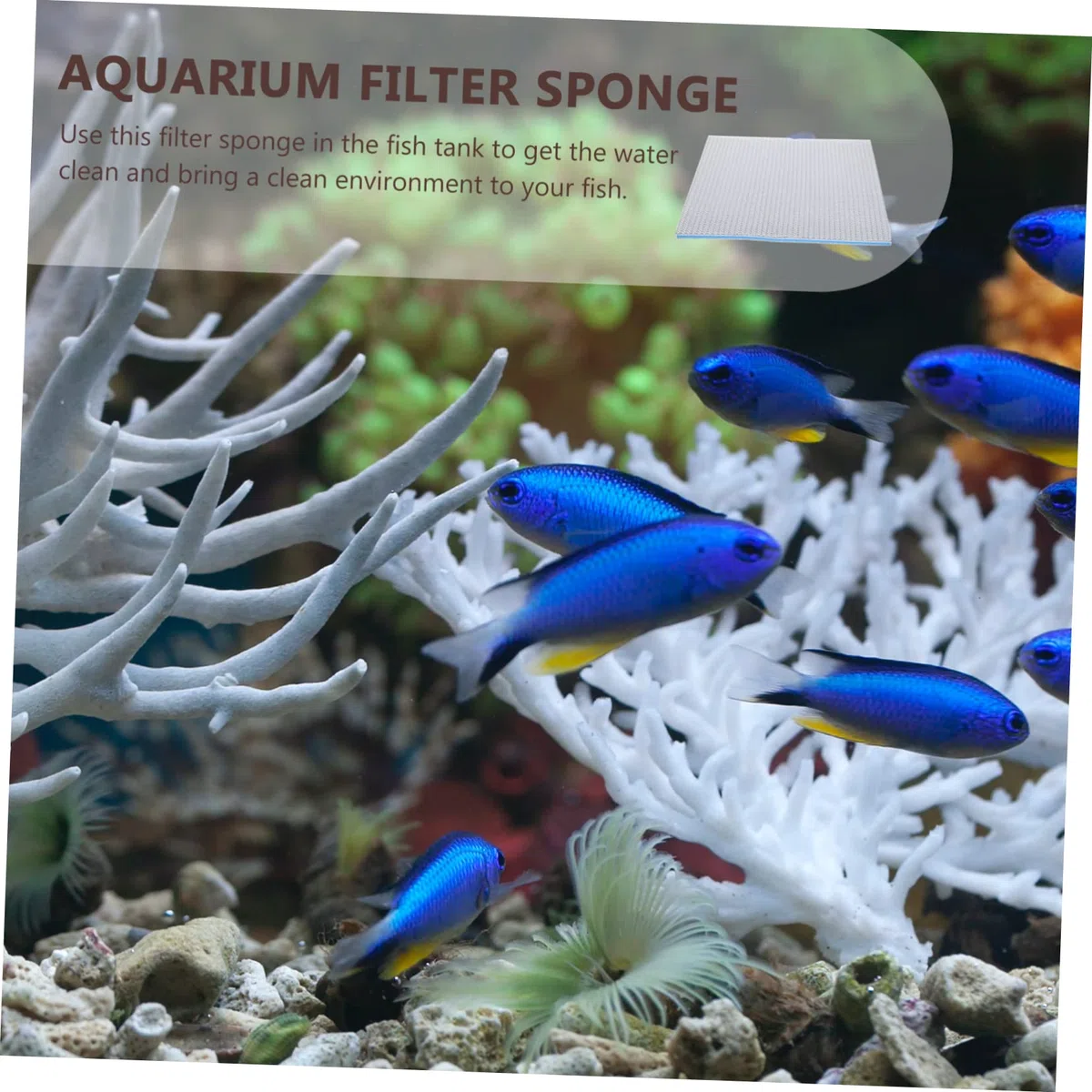 4piezas Esponja De Acuario Sin Adhesivos Almohadilla De Filtrado para Peceras Alta Densidad y para Filtración De Agua Tanques De Peces