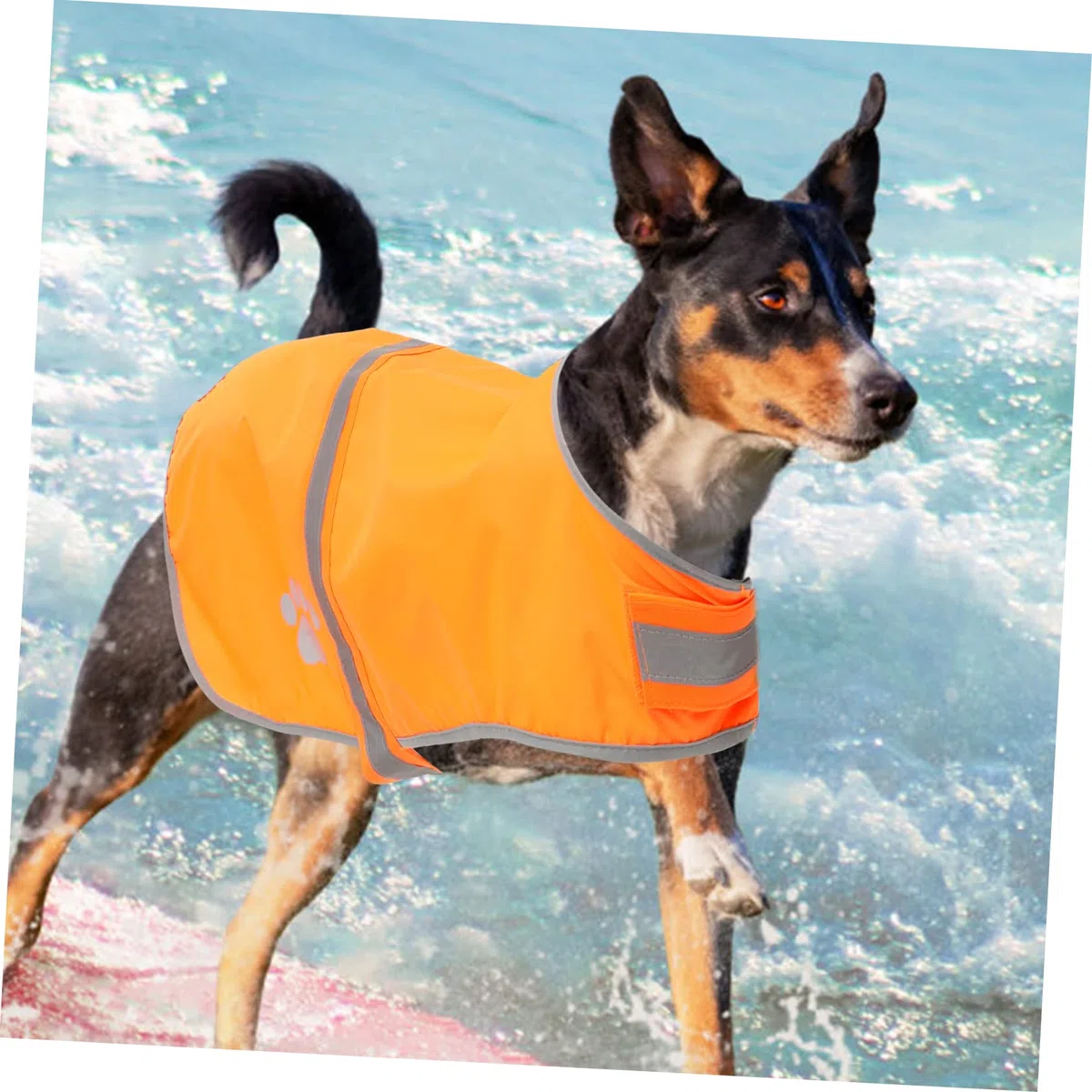 SUPVOX 4 Piezas Chaleco Reflectante para Perros Chaleco Disfraz Ropa para Mascotas para Caminar Corriendo Salvaguardia Tela Oxford Pequeño Chalecos Reflectantes