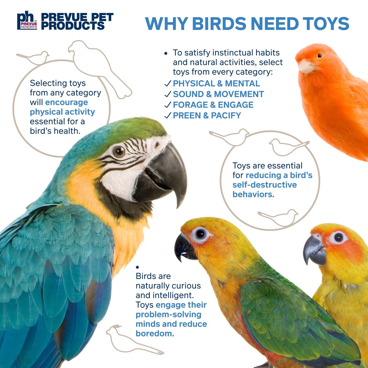 PREVUE PET PRODUCTS Sink 'n Seek 60250 Juguete para pájaros Playfuls Forage & Engage