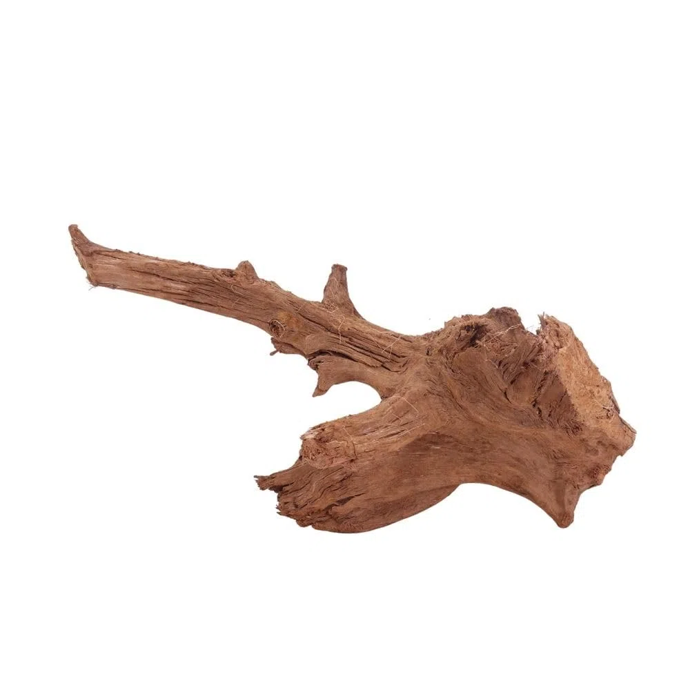 AquaOne Acuario de raíz decorativa L de manglar, madera auténtica, nº 4008, decoración de madera, plantas acuáticas, paisaje, musgo, naturaleza