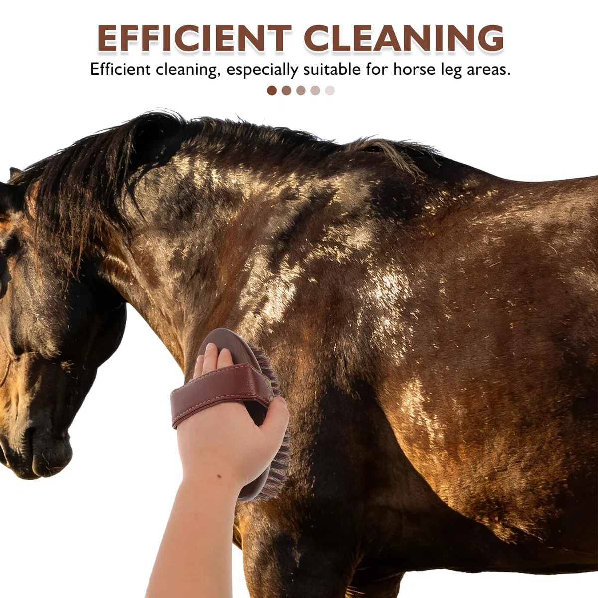 BESPORTBLE Cepillo Cuidado de Caballos con Mango de Madera Ergonómico, Cerdas Rígidas para Limpieza Profunda, Herramienta de Aseo Equino para Patas y Pelaje, Kit de Cepillos Ecuestres