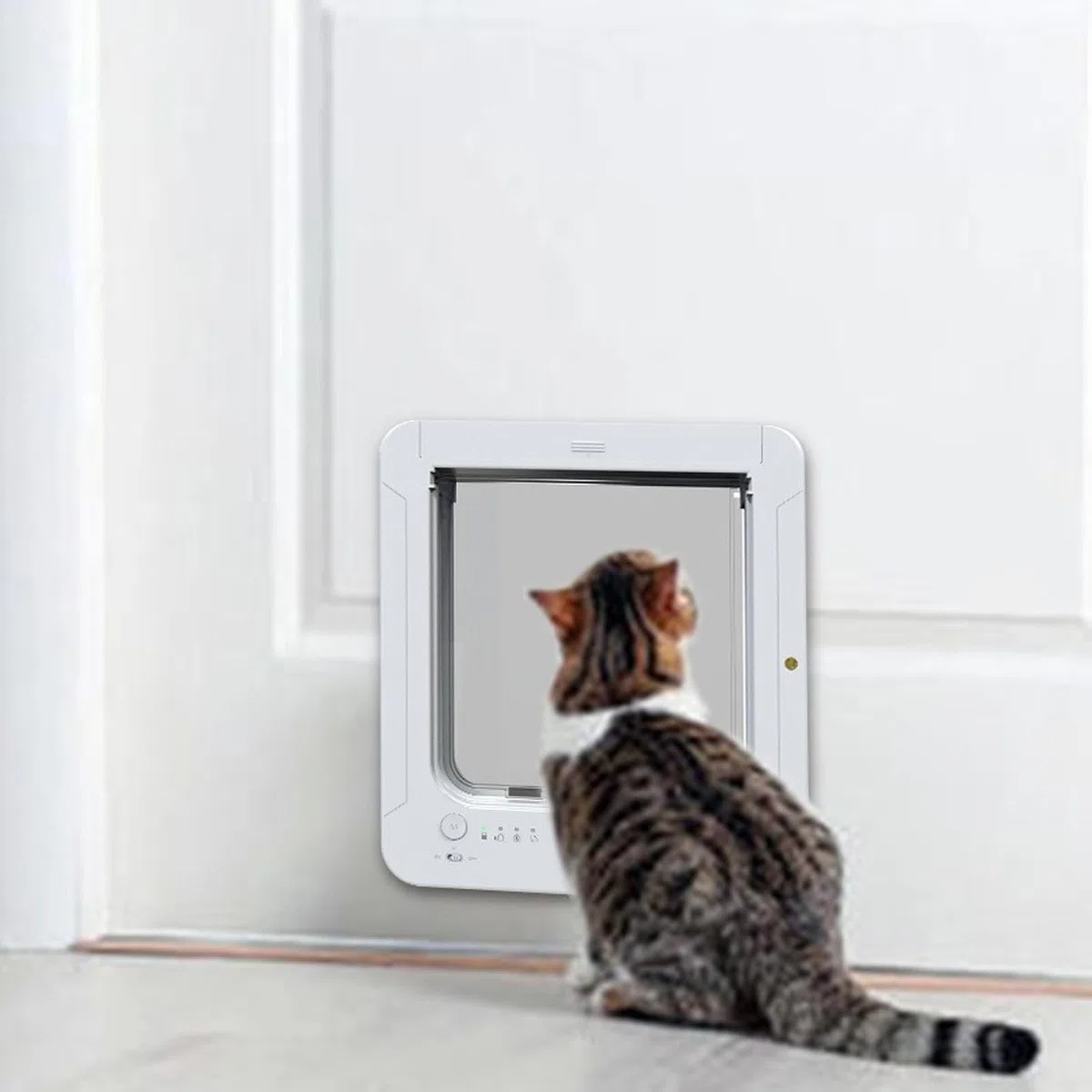 Puerta Inteligente para Mascotas, 26 X 29,5 Cm, Detección Automática Electrónica con Solapa Repuesto y Collar para Perros y Gatos, Suministros para Interiores Exteriores