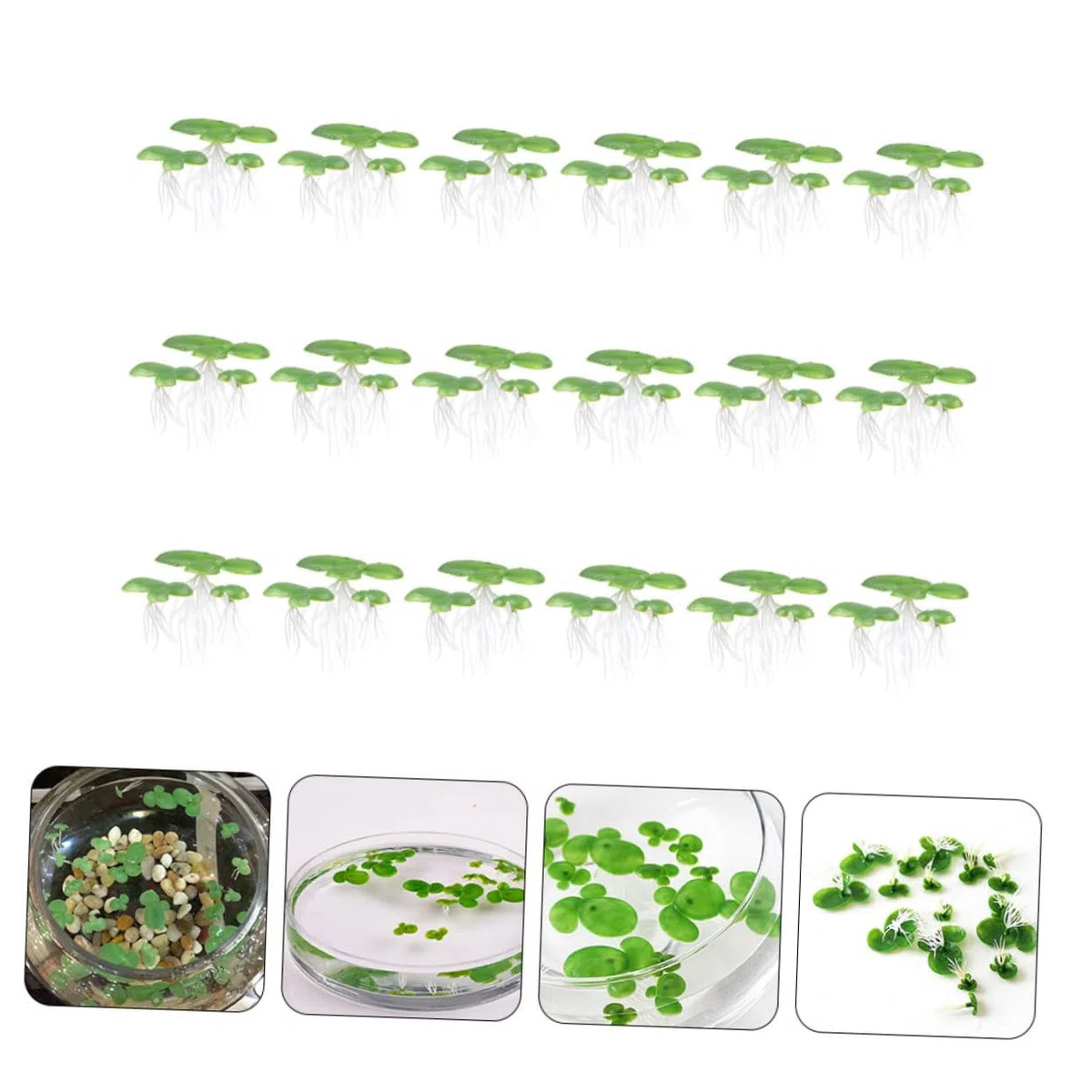 270piezas Plantas Acuáticas Artificiales para Acuarios Decoraciones Flotantes De Lentejas Falsas Ornamentales para Peceras y Tanques De Agua Diseño Natural y Aportan Vitalidad Al