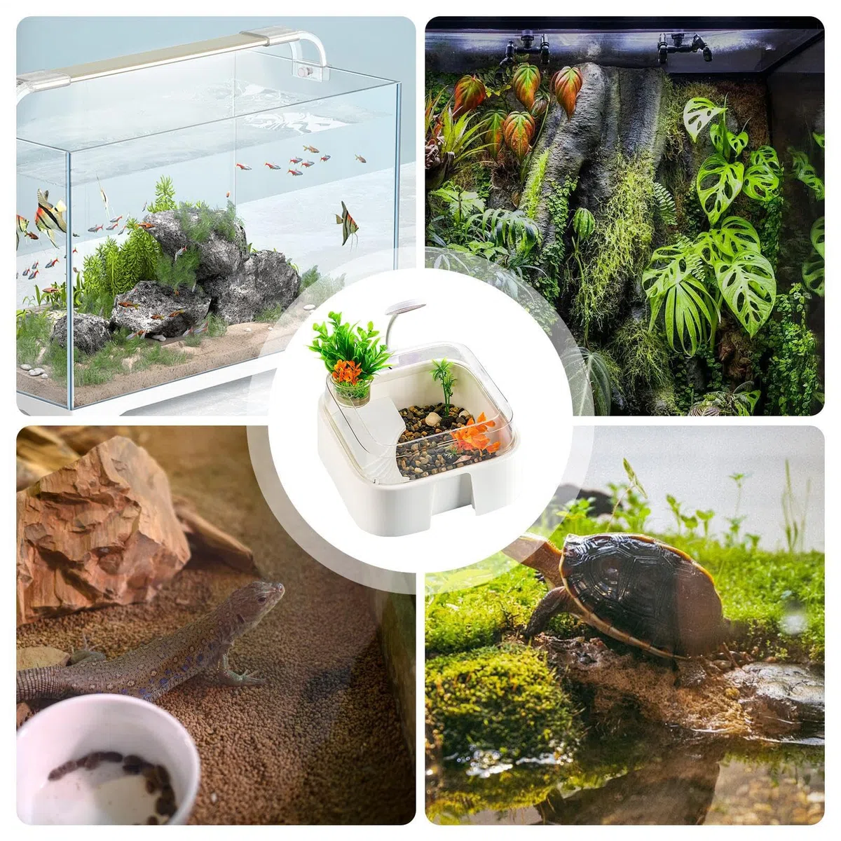 Acuario para Tortugas Terrario para Reptiles con Accesorios