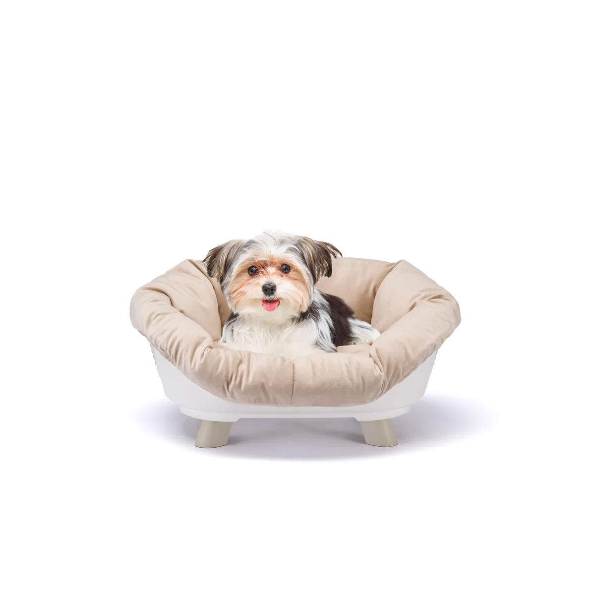 Ferplast Cama Perro y Gato con Cojin, Cama Gatos y Perro Lavable, Cama Elevada Perros Pequeños, Cesta Transpirable y Antideslizante, Sofa' Throne 64 x 48 x h 29,5 cm, Blanco