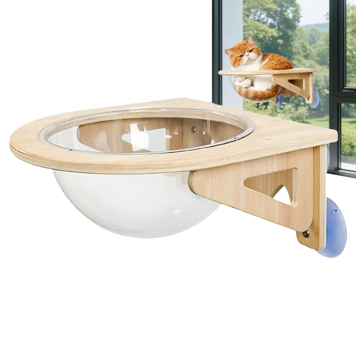 Repisas Para Gatos Para Pared Cueva de Mascotas con Ventosas de | Hamaca Ventana Para Gato Destinado a Trabajo Cocina Sala de Estar Hogar Interior Apartamento Esquina
