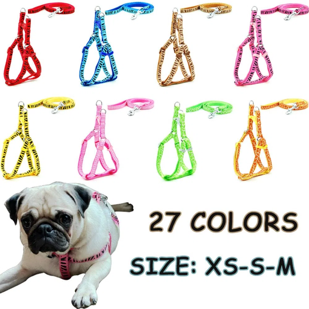 Conjunto de Correa for Perro, arnés Estampado, arnés y Correa for Perro pequeño, for pasear Gatos, 3 m,Bolso para Perros(2,M)