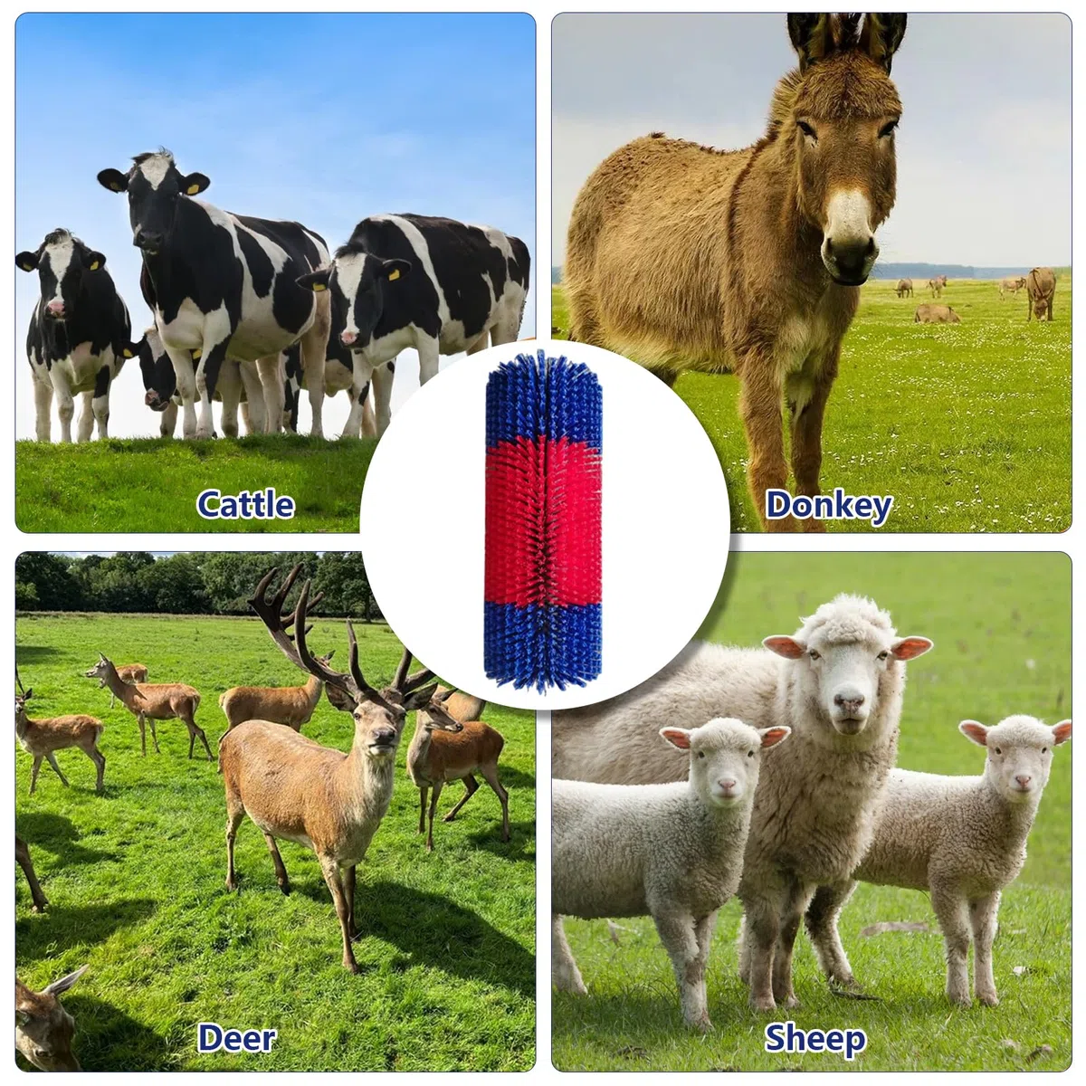 Cepillos de masaje para caballos, cepillos rascadores para caballos, vacas y cabras, cepillo para tabla de rascar, tabla antipicazón, rascador de espalda, juego de cepillos de masaje, cepillos de