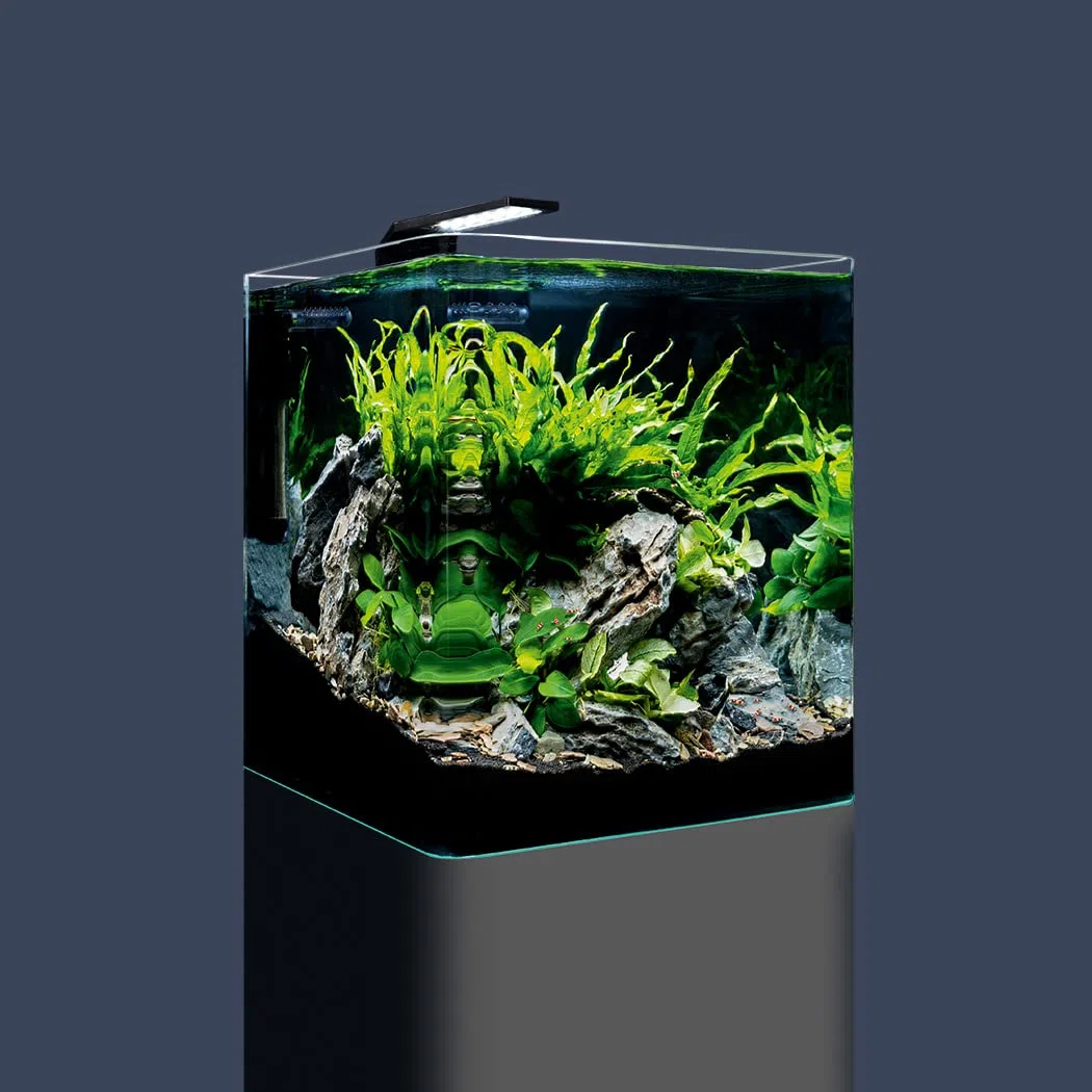 Dennerle Nano Cube Basic 30 litros - Mini acuario con cristal frontal redondeado
