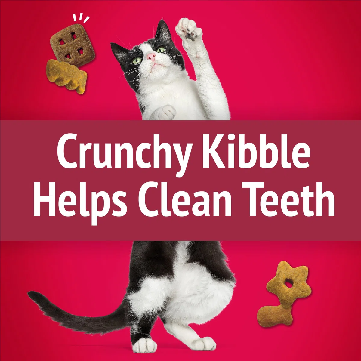 Friskies Purina Made in USA Facilities Cat Treats, Party Mix Mixed Grill Crunch - (6) 6 oz. Pouches