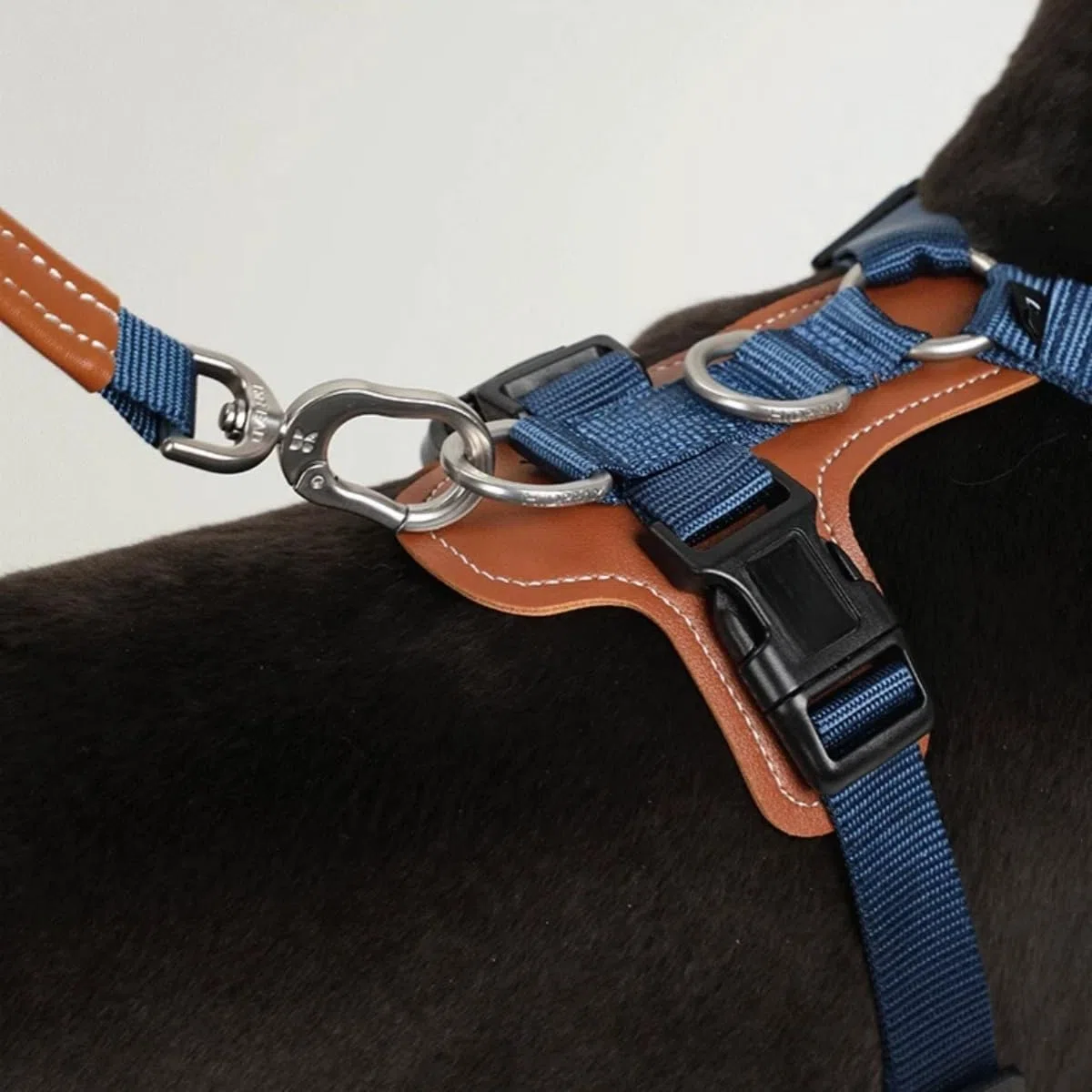Arnés para perros en forma de H ajustable – Arnés antitirones con 2 anillos para correa, acolchado de malla transpirable, resistente al uso para entrenamiento y paseo, cromado, M