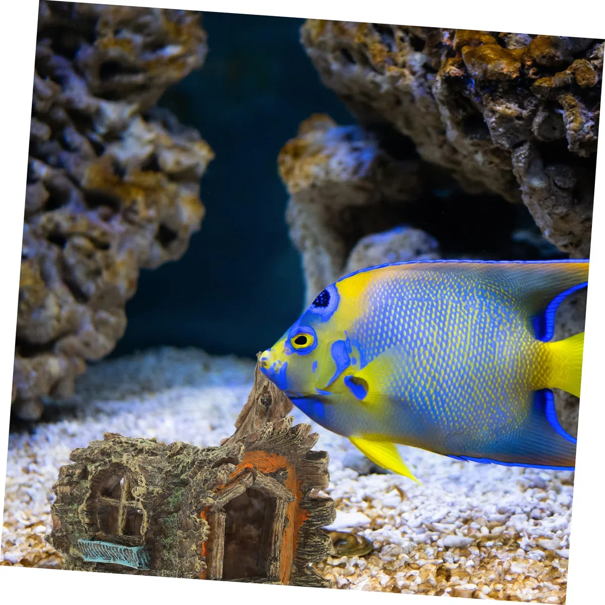 YARNOW 3 Piezas Decoración De Pecera Planta De Acuario Falsa Escondite Esponja Madera a La Helecho Neón Pegatina Flotante Decoraciones De Peceras Neto Cueva Casa Resina