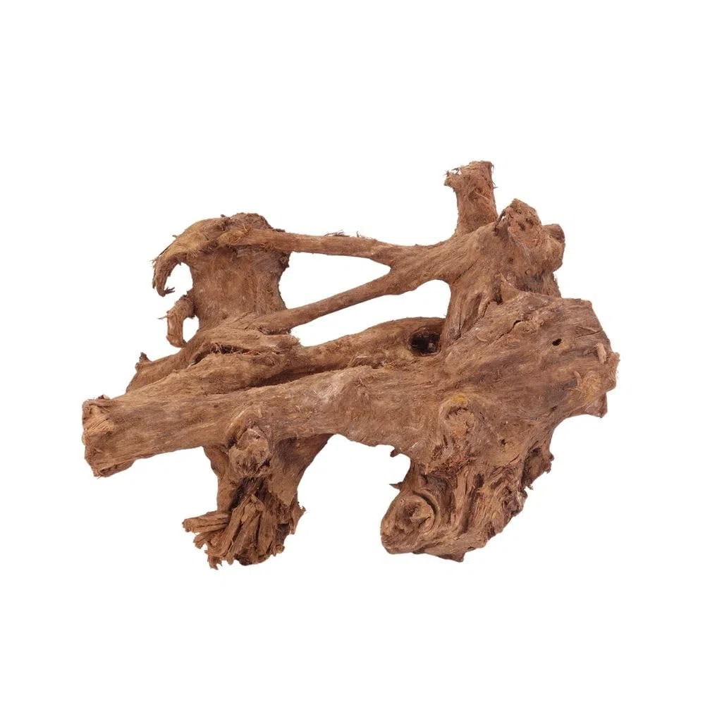 AquaOne Acuario de raíz decorativa L de manglar, madera auténtica, nº 2859, decoración de madera, plantas acuáticas, paisaje, musgo, naturaleza