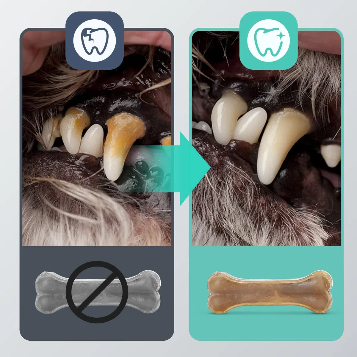 Nobleza - Hueso Prensado para Perros Fortalecedor de Dientes Stick Dental Dog Snack, Hueso de Nudillos de Cuero Crudo, Hueso para morder, Paquete de 12,10 Inches (250mm)