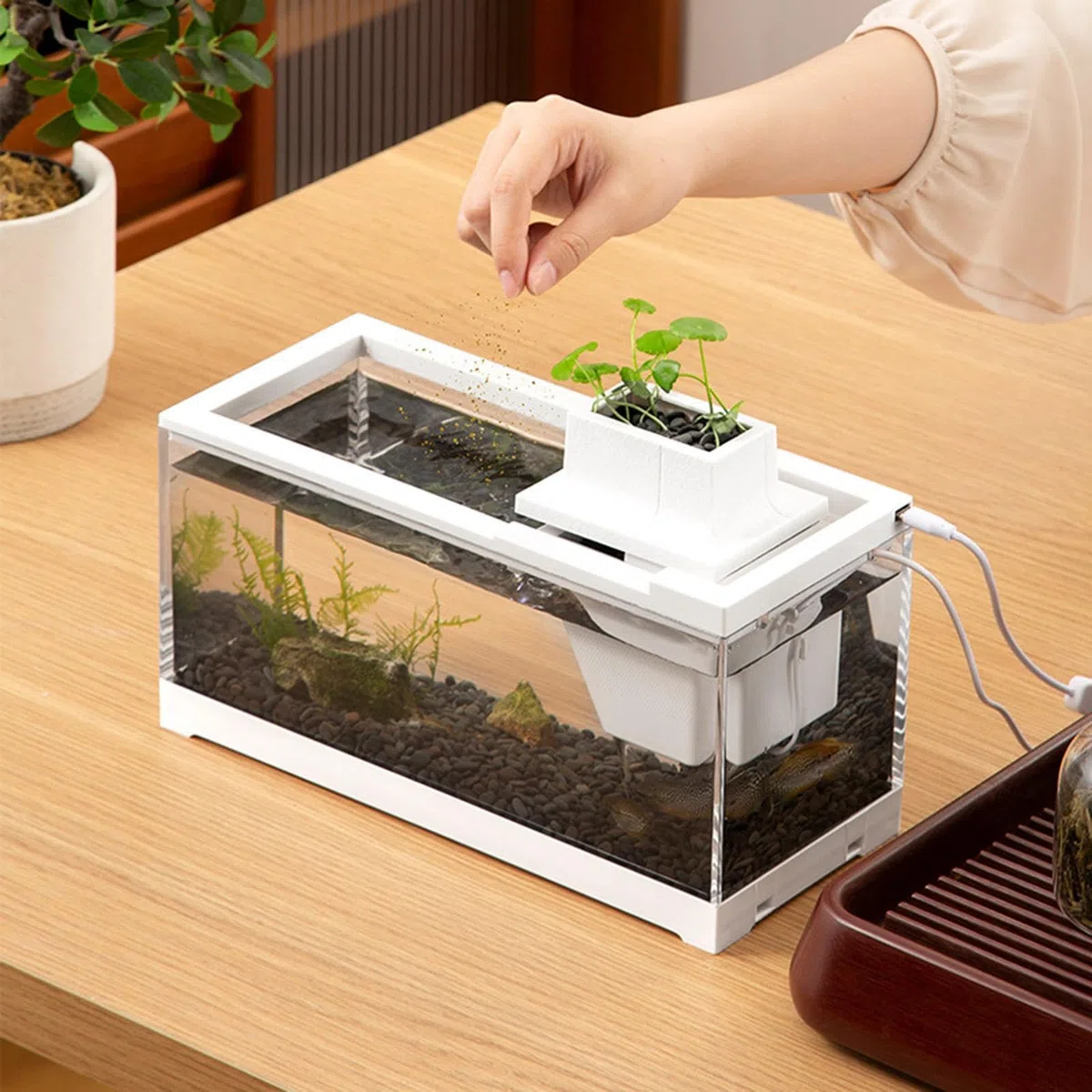 Acuario de Escritorio, pecera de Escritorio Mini Acuario pequeño, Abierto,