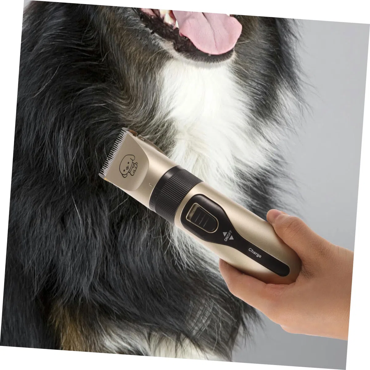 1200mah Cortapelos 4 Piezas, Carga Usb, para Perros y Gatos