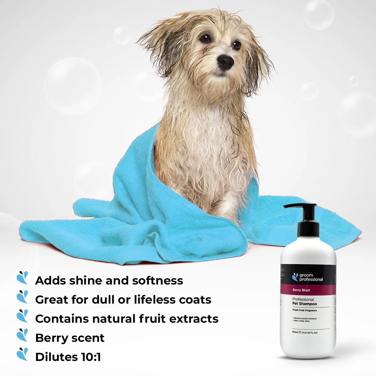 Groom Professional Champú para perros Berry Blast (4 L) – Salón concentrado 10:1 con extractos naturales de bayas, limpieza suave, hidrata, aroma a fruta de larga duración, Reino Unido