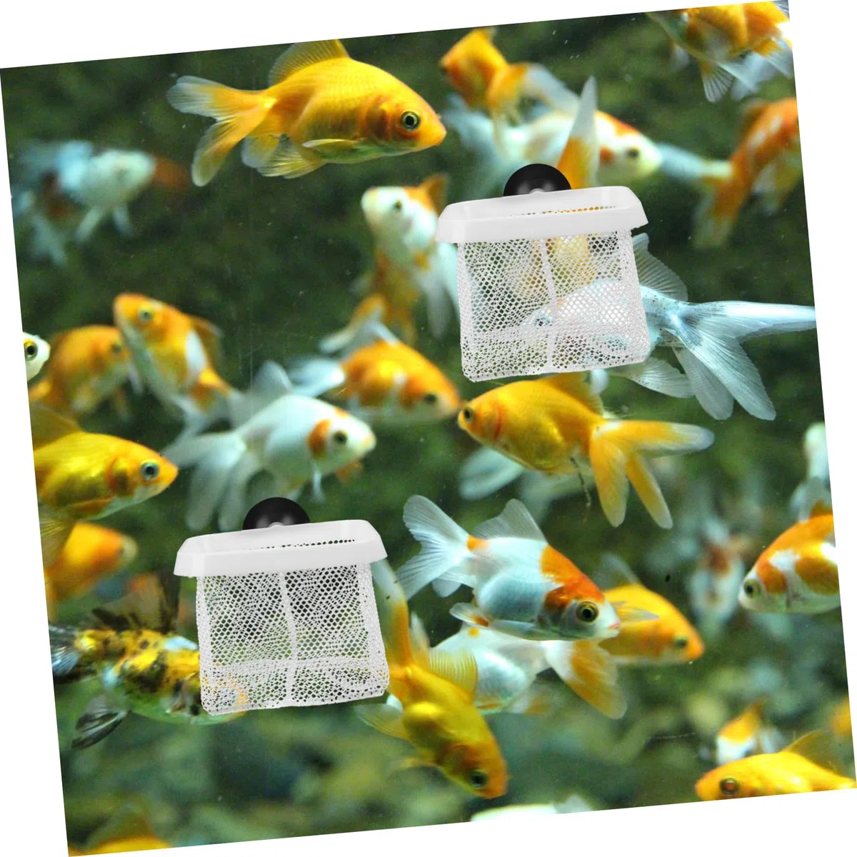 Kisangel 20 Piezas De Red para Pecera Caja De Cría De Peces Accesorios para Pecera Red para Divisor De Divisor De Cajas para Incubar para Cría De Peces De