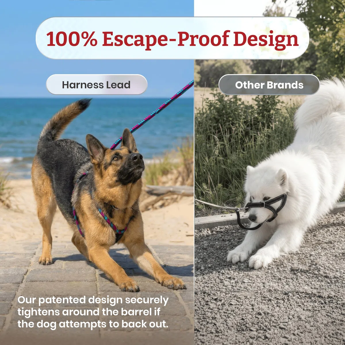 Harness Lead Juego de arnés y Correa para Perro sin tirones, arnés antitirones para Todas Las Razas y tamaños, diseño de Cuerda Acolchada de una Sola Pieza Que Evita Que se Escape y tirones (XL,