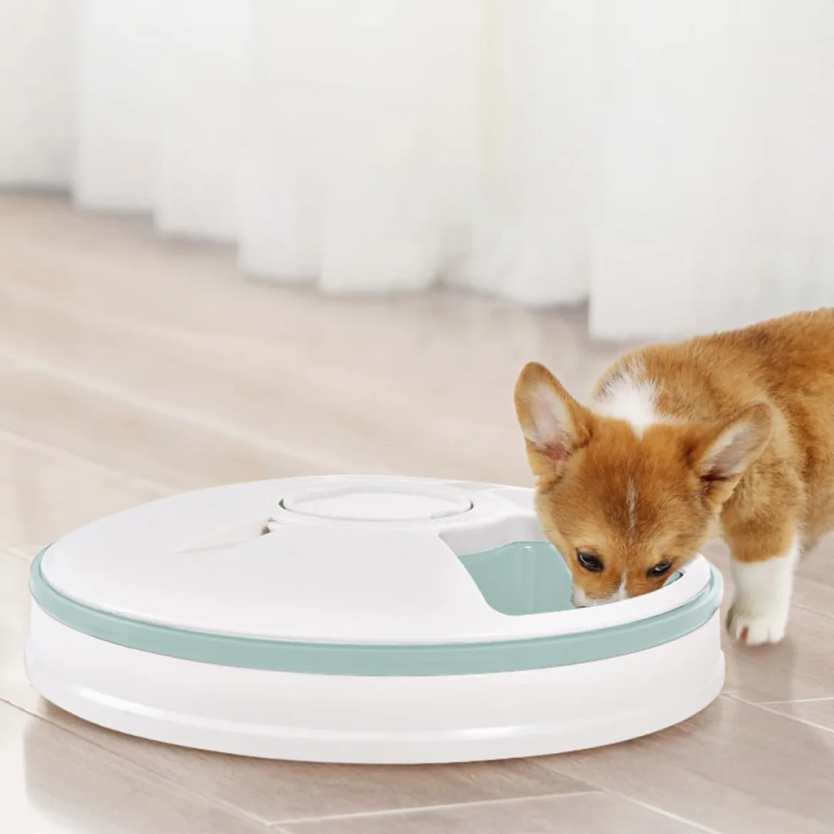 SUPVOX Comedero Automático Diseño Compacto Ahorra Espacio Temporizador Material Abs para Perros Adecuado para Colocar Esquina del Hogar