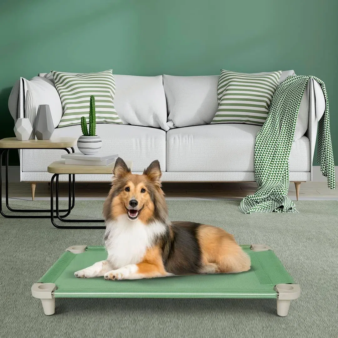 Acrimet Cama Elevada para Perros, Malla Lavable y Transpirable, Estructura de Acero Inoxidable, para Uso Interior y Exterior (Tamaño: 102 x 61 x 11cm) (Color Verde) (1 Unidad)