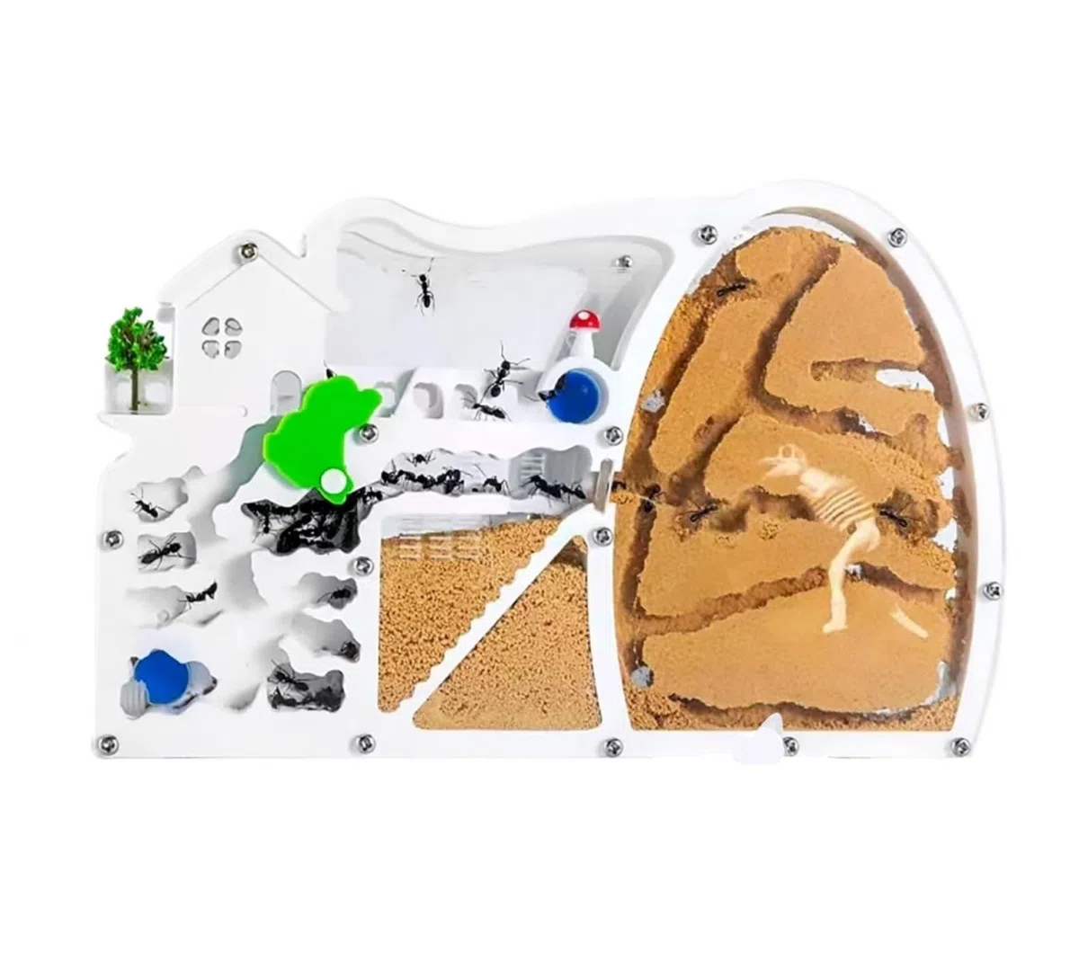 Nido Hormigas Casa Insectos Pet Castillo De Hormigas Arena Hábitat con Excavación Dinosaurios para Estudiar El Comportamiento del Ecosistema La Colonia Educativo Kit Hormiguero(Oranje)