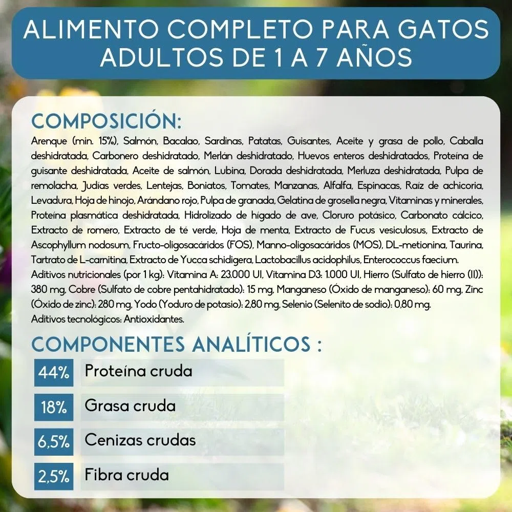 NUTRIVET - INNE Chat - Croquetas sin Cereales - Gato Adulto - Pescado - 80% Ingredientes de Origen Animal - 6kg