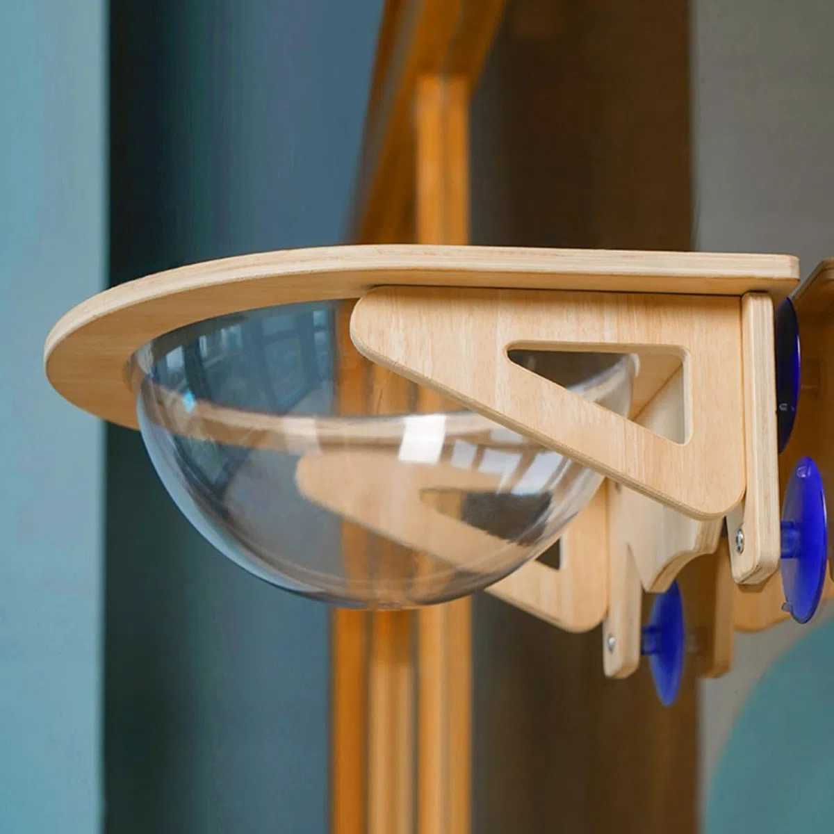 Repisas Para Gatos Para Pared Cueva de Mascotas con Ventosas de | Hamaca Ventana Para Gato Destinado a Trabajo Cocina Sala de Estar Hogar Interior Apartamento Esquina