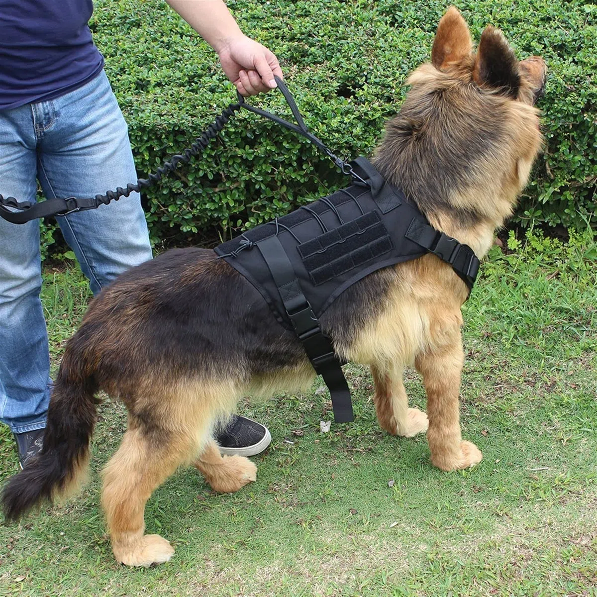 Arnés Militar Táctico para Perros Y Conjunto De Correa, Arnés para Perros De Trabajo para Perros Duraderos para Perros Pequeños Y Grandes Pastor Alemán