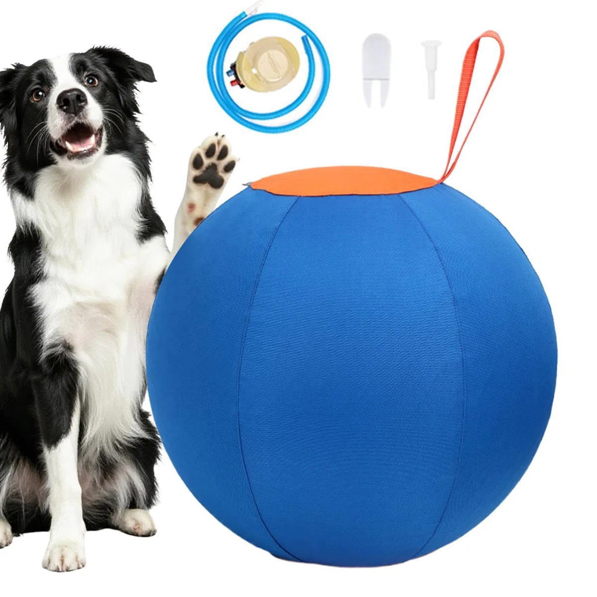 Pelota de pastoreo para perros Mordedor inflable para cachorros | Juguete para para Perros Para Amantes de Mascotas, Entrenadores, Jardín, Parque, Hogar, Salón, Estudio, Refugios