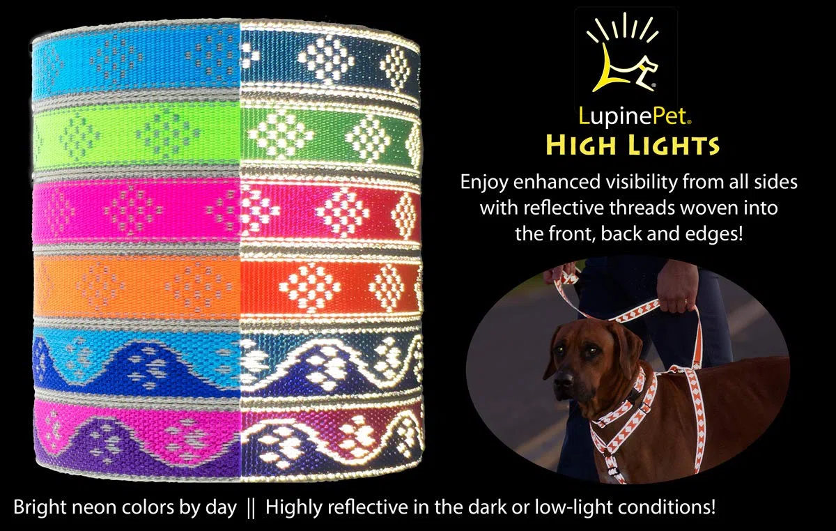 Lupine - Arnés reflectante extra grande ajustable para perro, 1 pulgada de ancho, patas azules con contorno de 36 a 44 pulgadas
