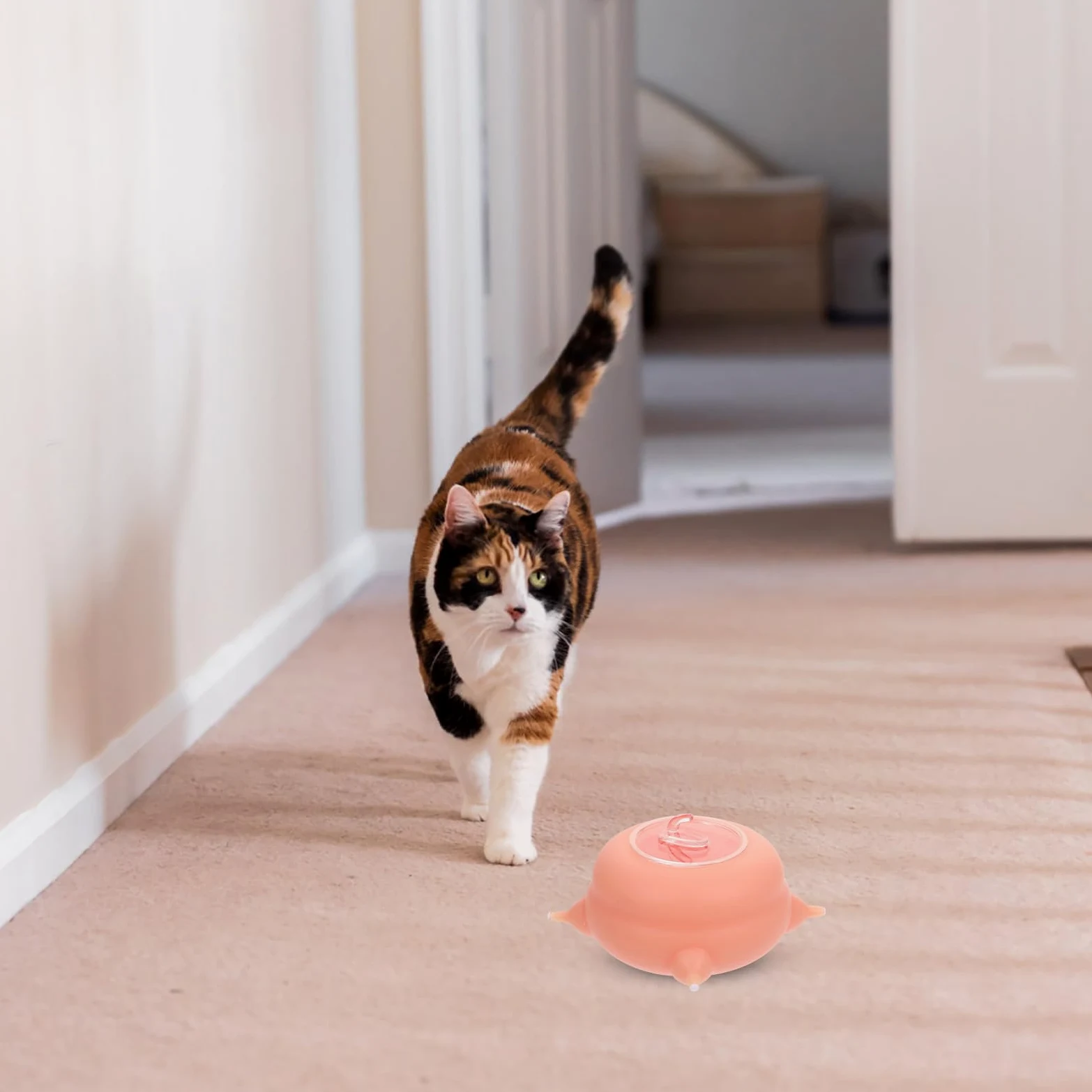 Herramienta de Alimentación para Cachorros de Silicona Rosa, Comedero para Mascotas Pequeñas Resistente y No Fácil de Deformar, Adecuado para Alimentar Cachorros y Gatitos
