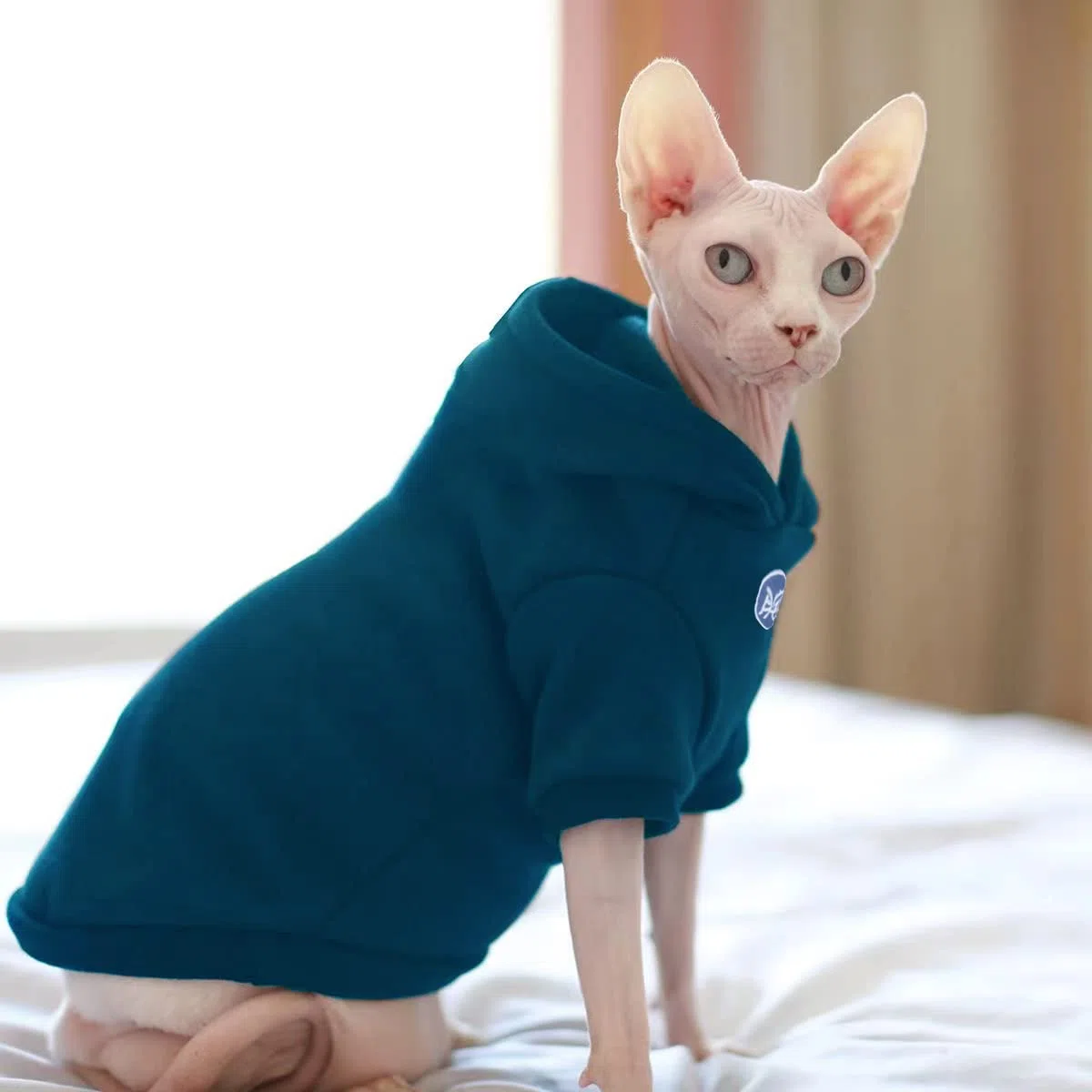 Sphynx - Ropa para gatos – Sudadera gruesa y cálida con capucha y chaleco para gatitos sin pelo, Devon, Cornish, Peter Bald Kittens (mediano)