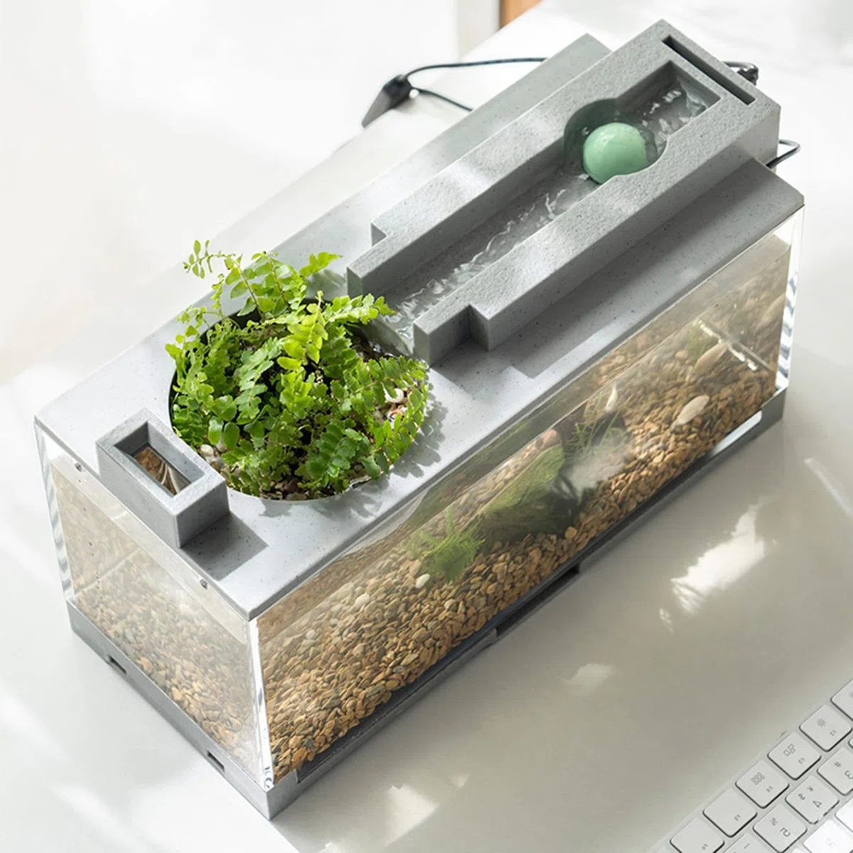 Generic Tanque de Peces con Filtro de Bomba de Aire y luz, Acuario Rectangular con luz LED, Acuario Pequeño para Bettas, Guppies, Peces Loro Min-i, Camarones, Goldfish