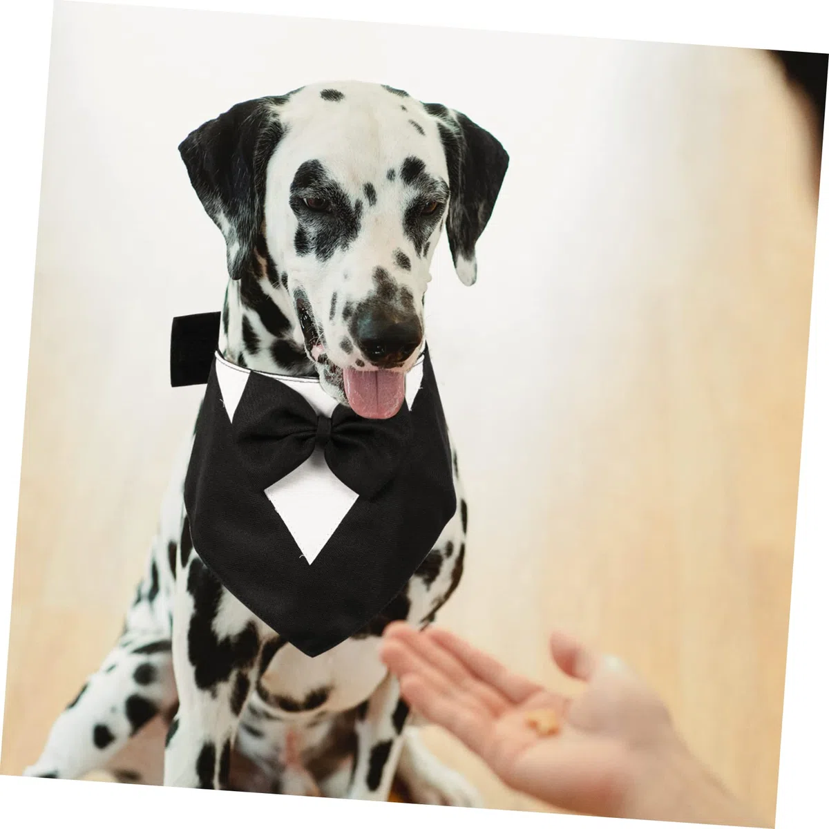 ABOOFAN 5 Accesorios De Moda para Mascotas Trajes para Perros Pajaritas Bufandas Y Corbatas Geniales para Cachorros.