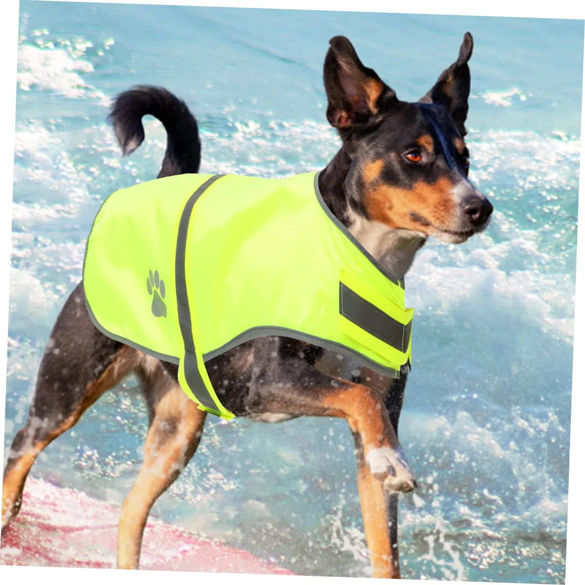 Sosoport 4piezas Chaleco Reflectante para Perros y Fluorescente Ropa De Alta Visibilidad para Mascotas para Actividades Nocturnas Aire Material Oxford