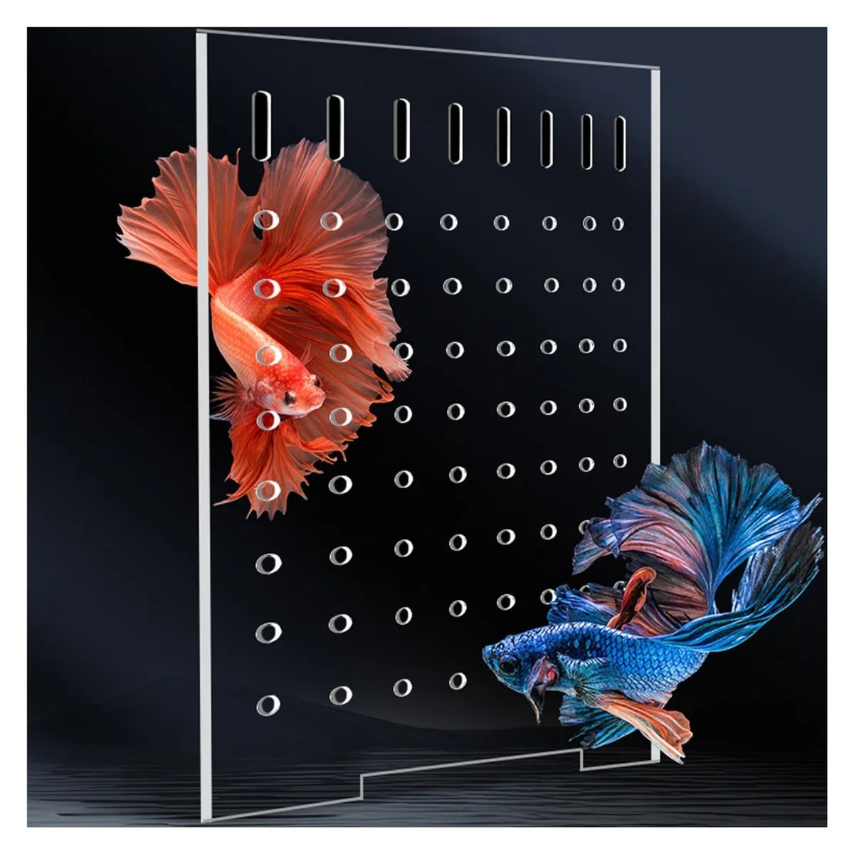 Kit De Divisores para Acuarios Placa Divisoria para Acuario Panel De Separación para Peceras con Ventosas para La Cría De Alevines Y Mantenimiento Mixto(10mm Thick)