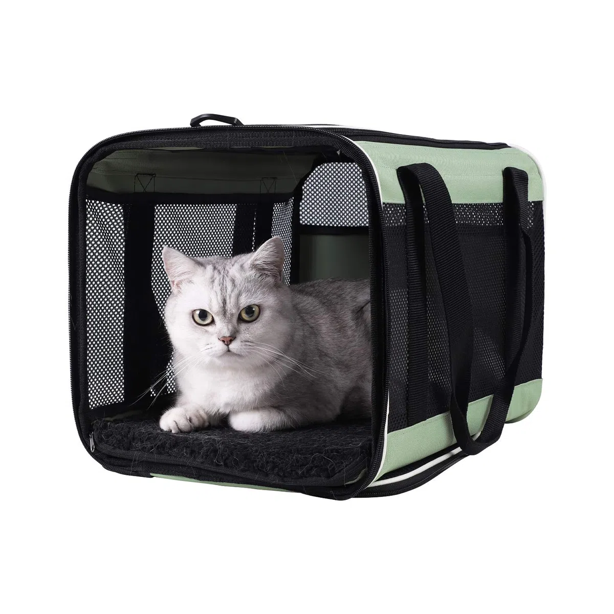Petsifam - Transportín para mascotas (2 gatos)