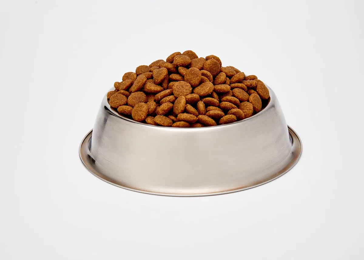 Nature's Variety Original No Grain, Pienso para Perros Adultos Medianos y grandes, Sin cereales, con Pavo deshuesado, 12kg