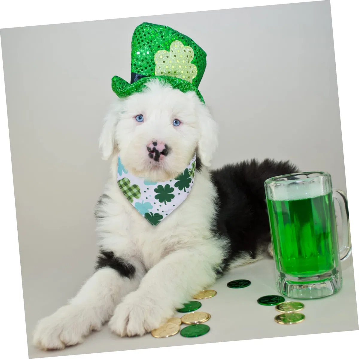 Toddmomy 8piezas Bandana para Perros Creativa y Adorable Babero De Mascotas para Fiesta Accesorios para Perros y Gatos para Dueños De Mascotas