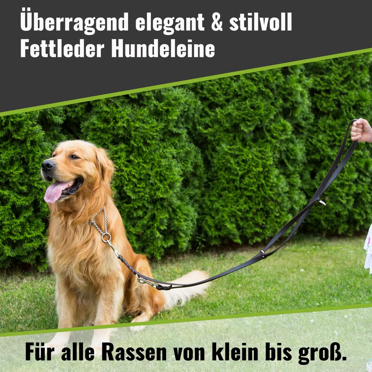 CopcoPet – Correa de cuero engrasado para perros – Correa ajustable en 3 posiciones de piel suave con mosquetones y herrajes de cromo – Correa trenzada 100% hecha a mano en Alemania (2,0 m x 20 mm |