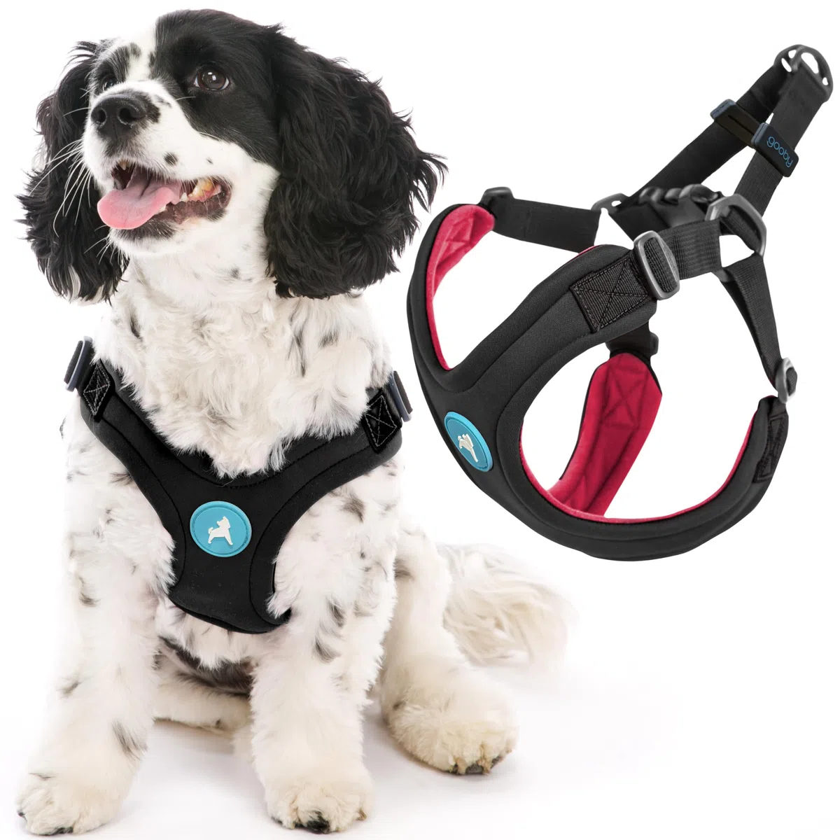 Gooby Escape Free Arnés Deportivo para Perros pequeños de Neopreno sin tirones, Ajuste de 4 Puntos, para Perros de hasta 16 kg, Negro, Talla M