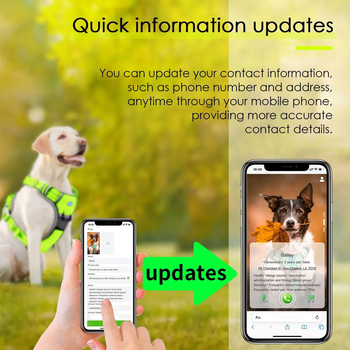 ThinkPet Arnés deportivo transpirable con código QR, arnés reflectante con asa ajustable para perros medianos y grandes, clip trasero y frontal para un fácil control, talla XL, color verde