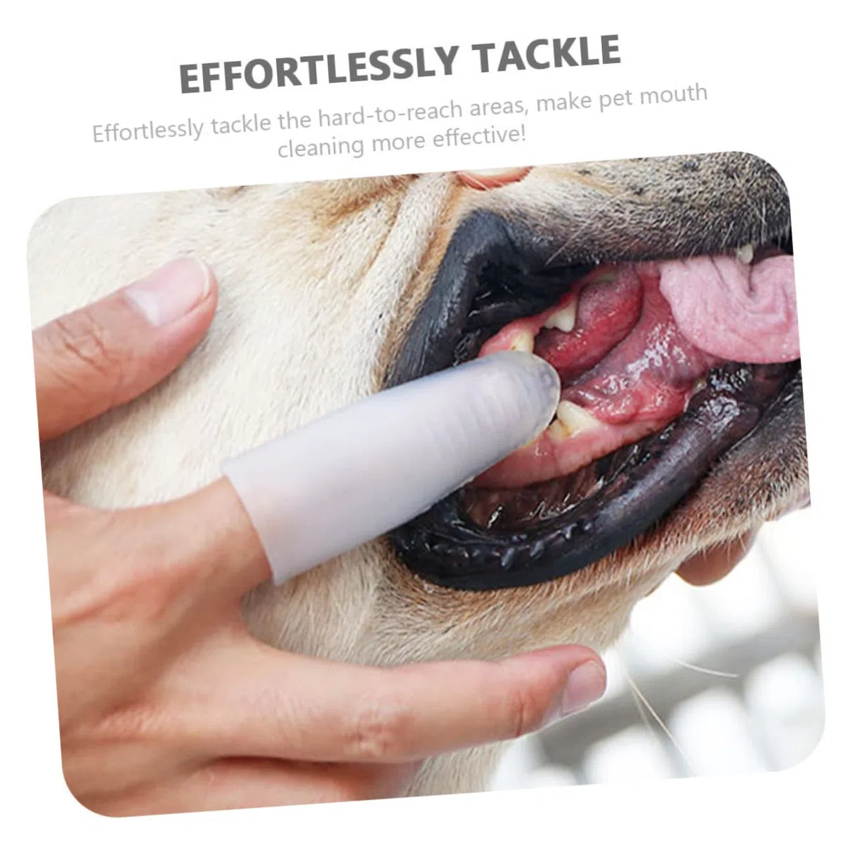 BESPORTBLE 4 Piezas cepillo de para perros cachorro cuidado bucal Suministros para cachorros de parto cepillo de de silicona para cachorros suministro de mascotas