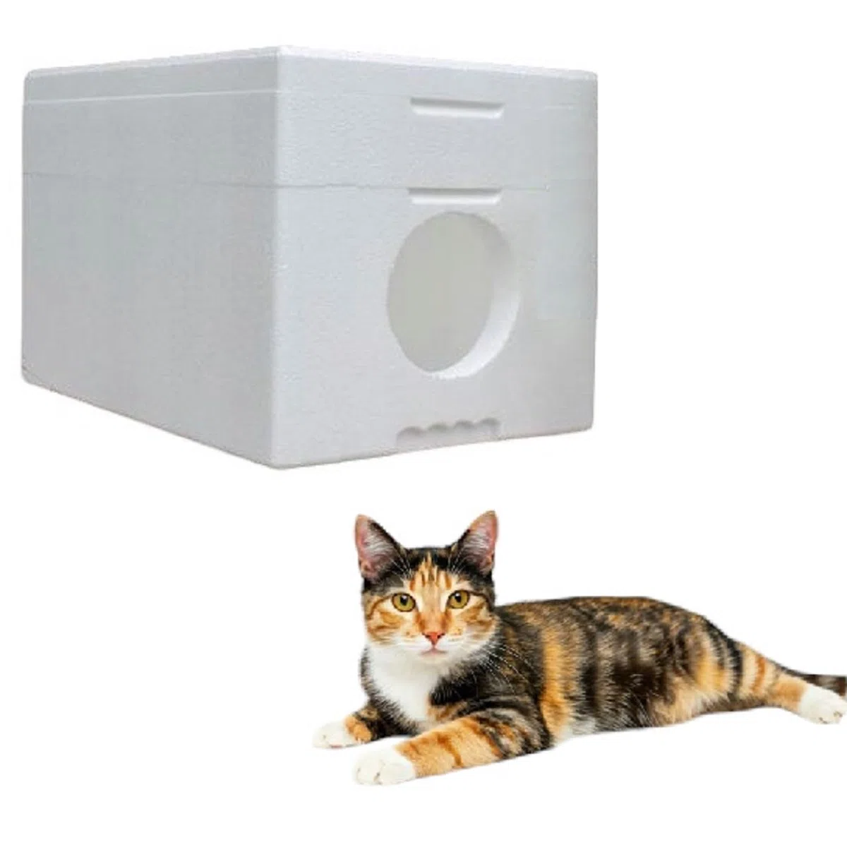 QLS Caseta para gatos de poliestireno resistente a la intemperie – 58 x 38 cm aislado para exteriores