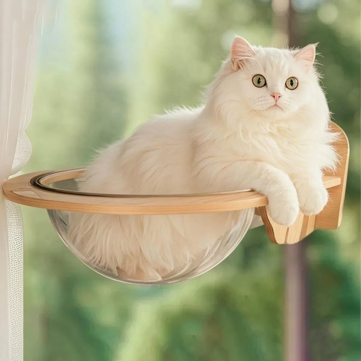 Asiento De Ventana para Gatos Escalada, Baño de Sol, Siesta, Descanso | Hamaca Ventana Gatos Con Ventosas En Apartamentos Pequeños, Balcones, Oficinas, Salones, Dormitorios, Cocinas