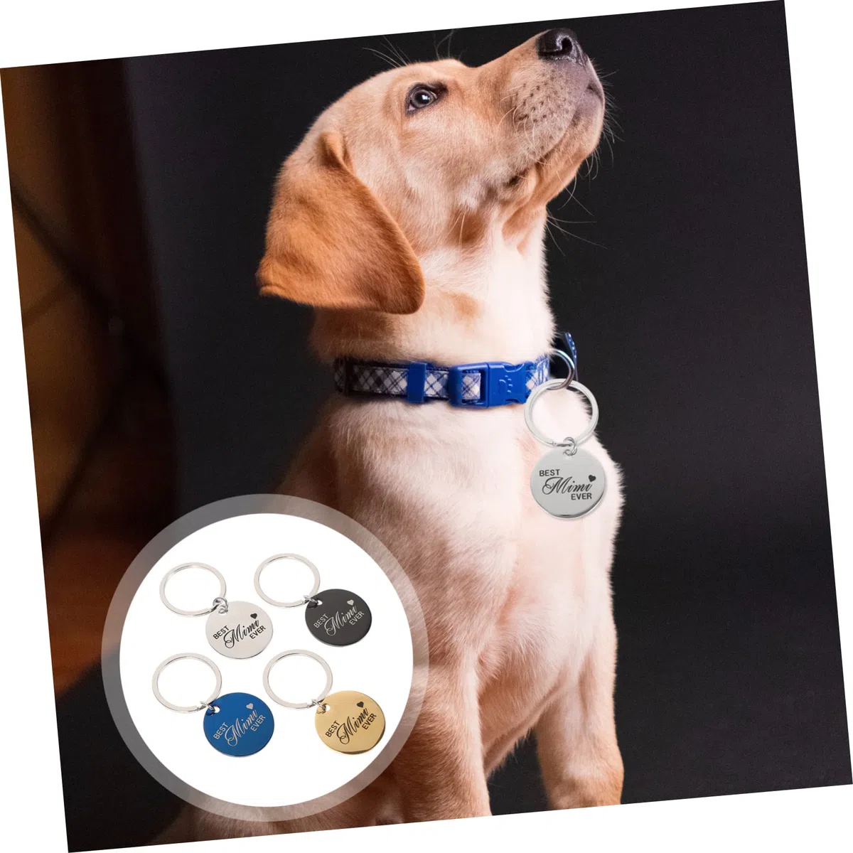 POPETPOP 16piezas Etiquetas De Identificación Para Mascotas De Acero Inoxidable Personalizadas Nombre y Símbolos Adecuadas Para Perros Gatos y Mascotas Pequeñas Resistentes y Duraderas