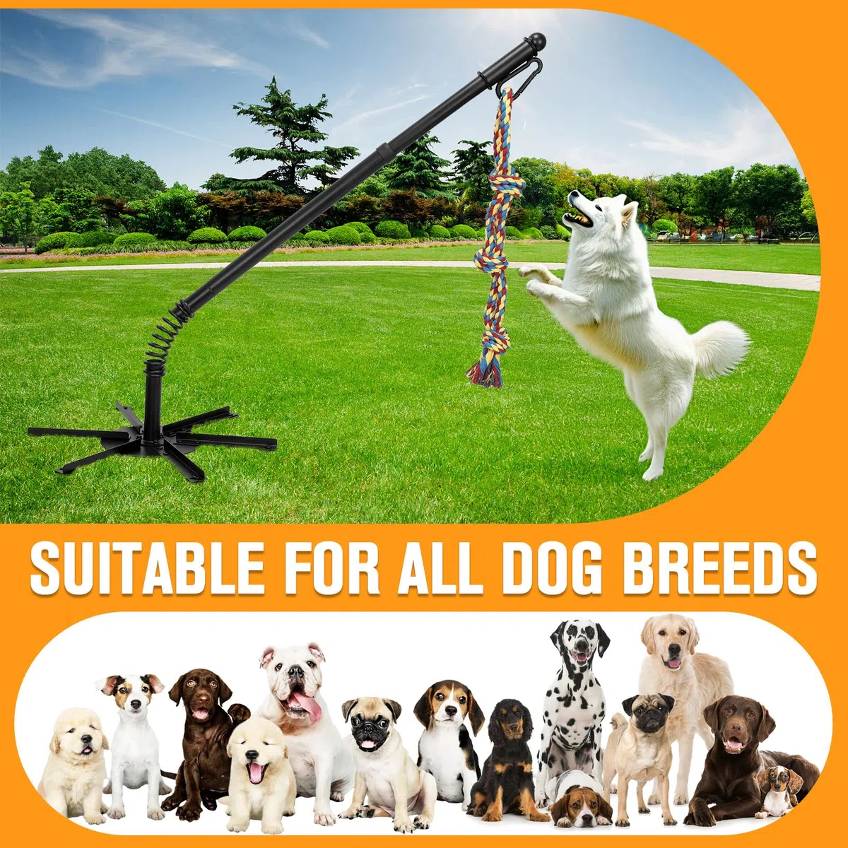 Tether Tug - Juguete interactivo para perros grandes, medianos y pequeños, juego interactivo de cuerda de amarre con 2 cuerdas y campana para hacer ejercicio y jugar en el patio o parque