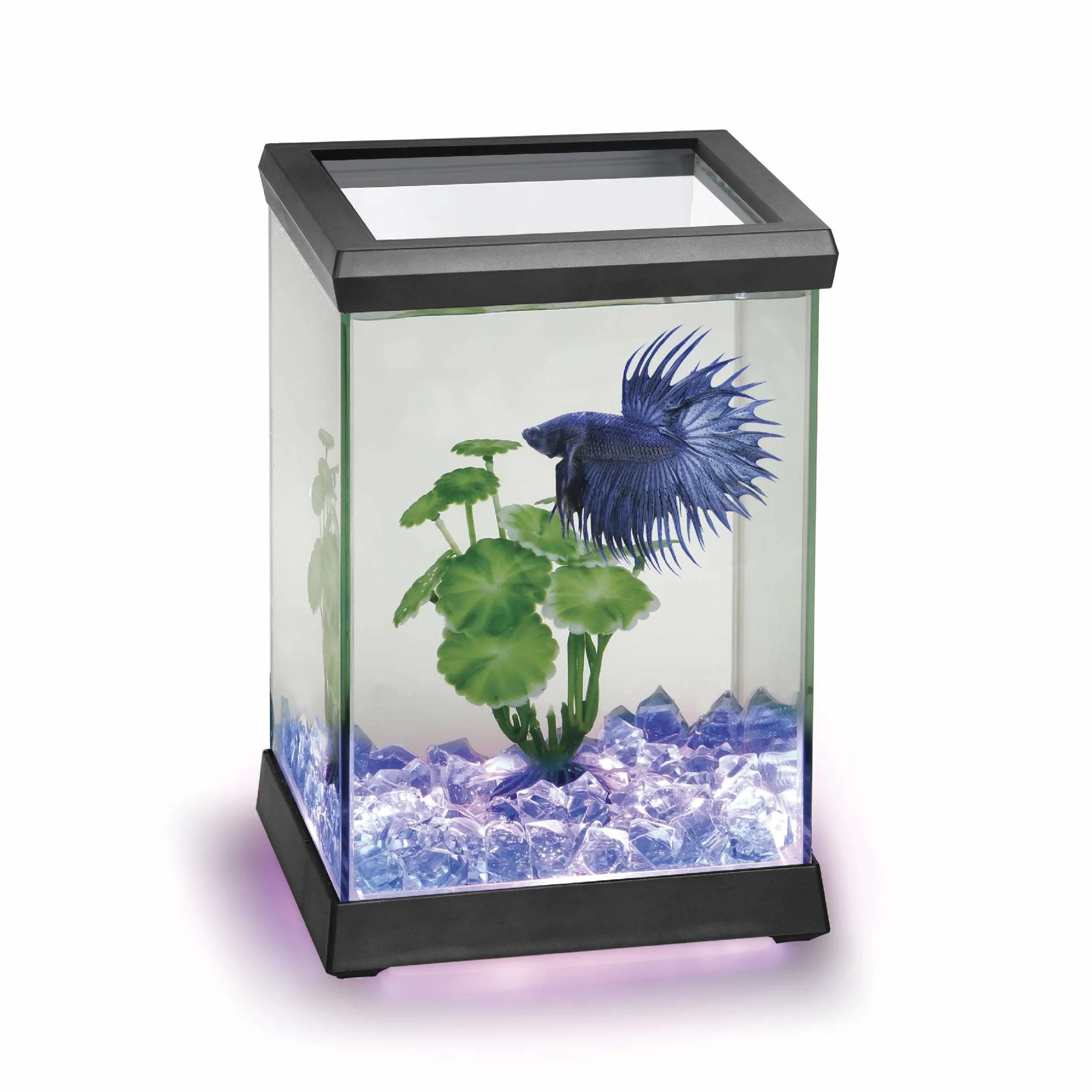 Ocean Free AT619A Kit Betta Space Led, Negro, 4,95 litros, 15.5x15.5x10.5 cm